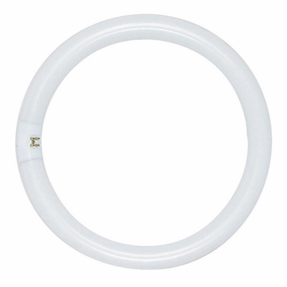 Satco Products, Inc. S6501