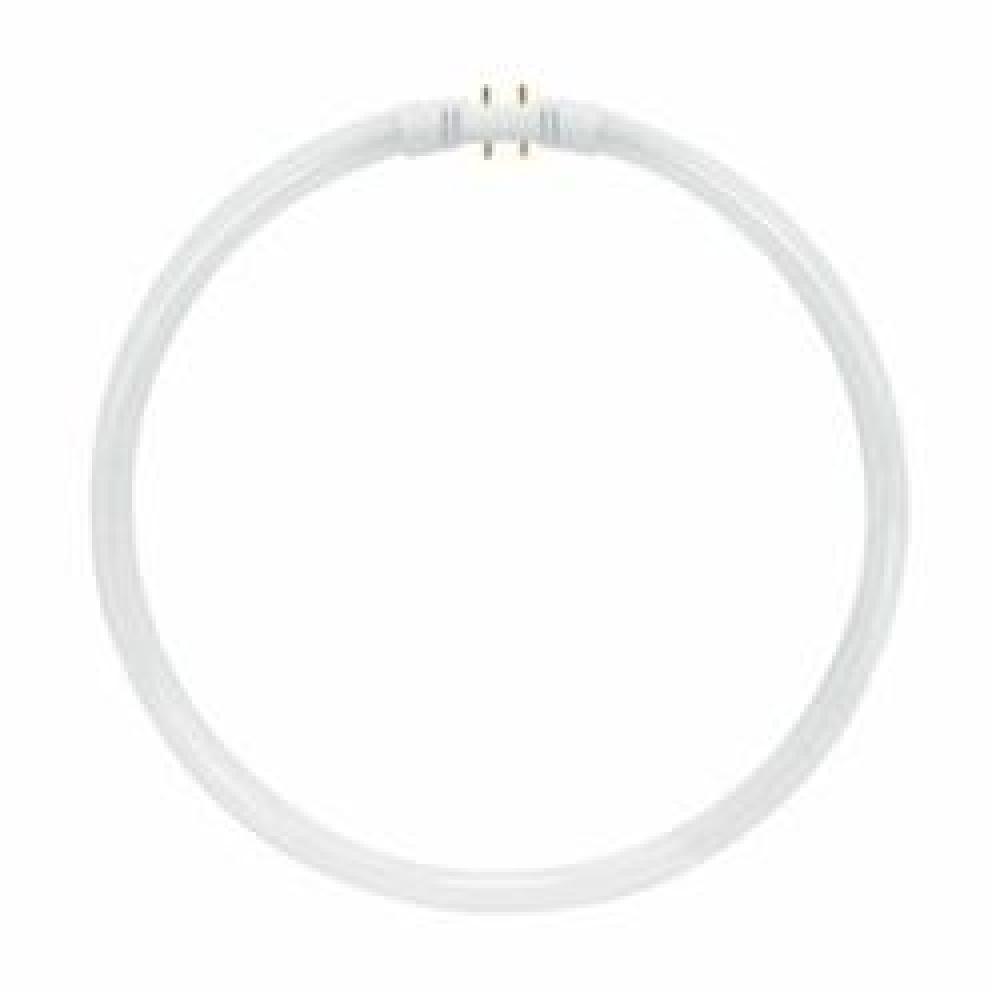 Satco Products, Inc. S2959