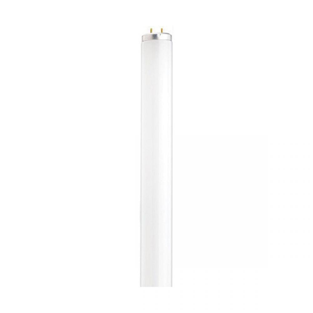 Satco Products, Inc. S6559