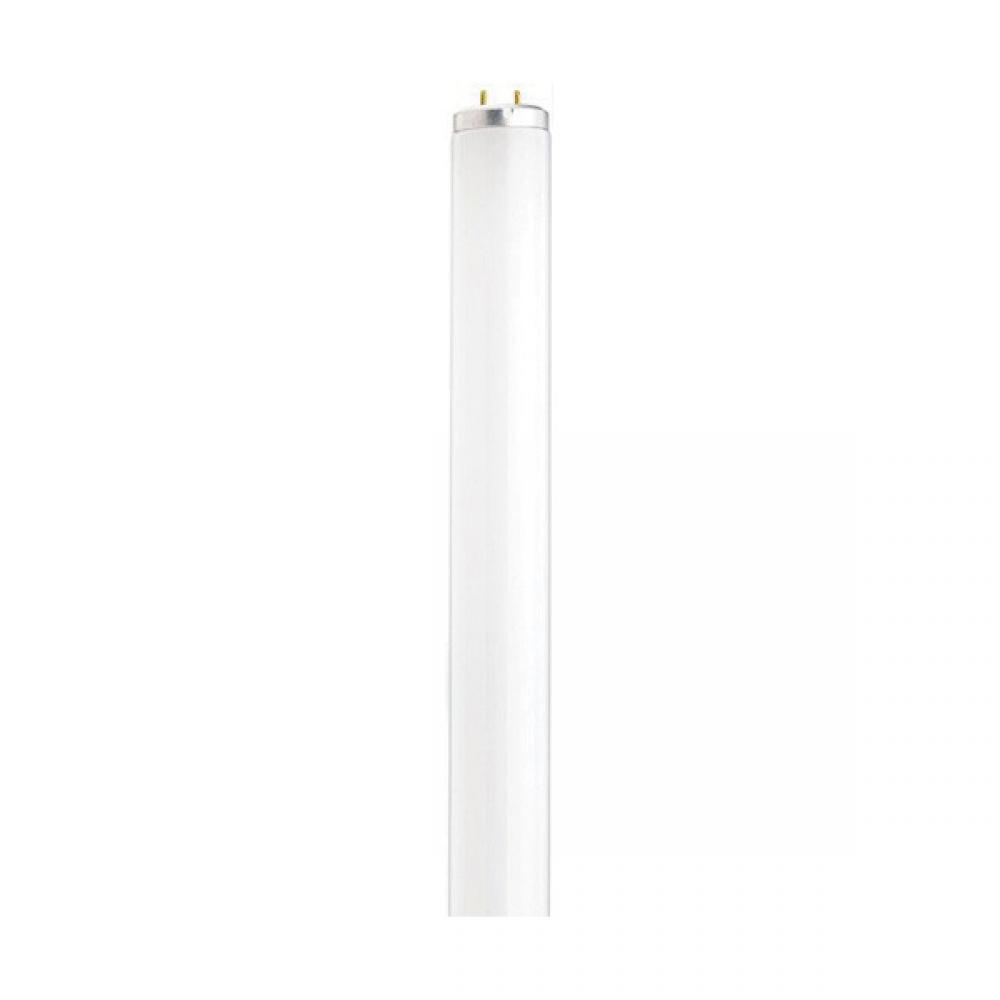 Satco Products, Inc. S6569