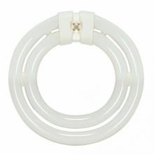 Satco Products, Inc. S6596 - Satco Products, Inc. S6596