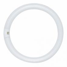 Satco Products, Inc. S6504 - Satco Products, Inc. S6504