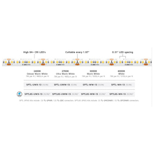 American Lighting SPTL65-WH-13 - American Lighting SPTL65-WH-13