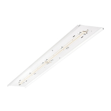 Atlas Lighting Products ILWRK30LED4D - Atlas Lighting Products ILWRK30LED4D