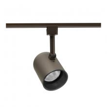 Acuity Brands R501B-BZ - Acuity Brands R501BBZ