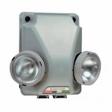 Acuity Brands IND1254 - Acuity Brands IND1254