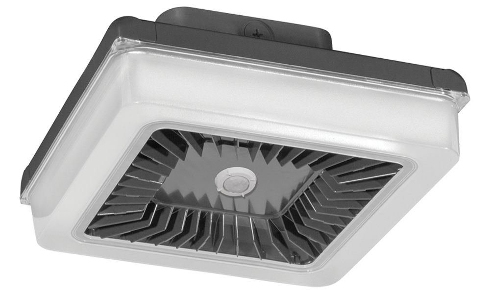 RAB Lighting PRT42/D10/WS