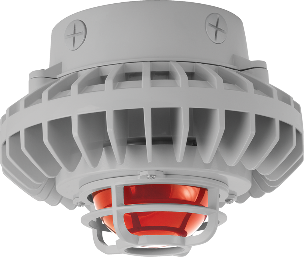 RAB Lighting WPLED4T66YW/480