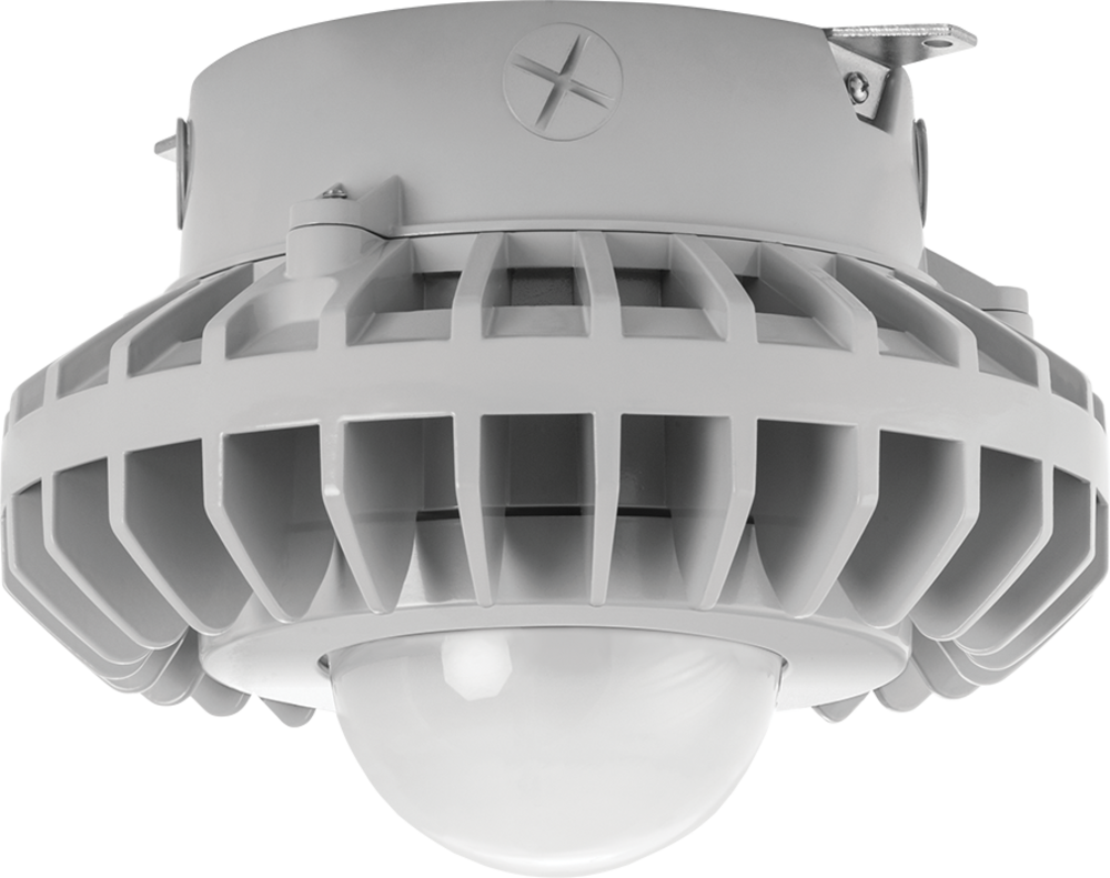 RAB Lighting VANLED65W/480/PCS4