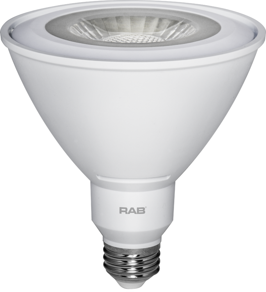 RAB Lighting SHARK2M-25W/D10