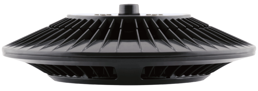 RAB Lighting PLED78/BL