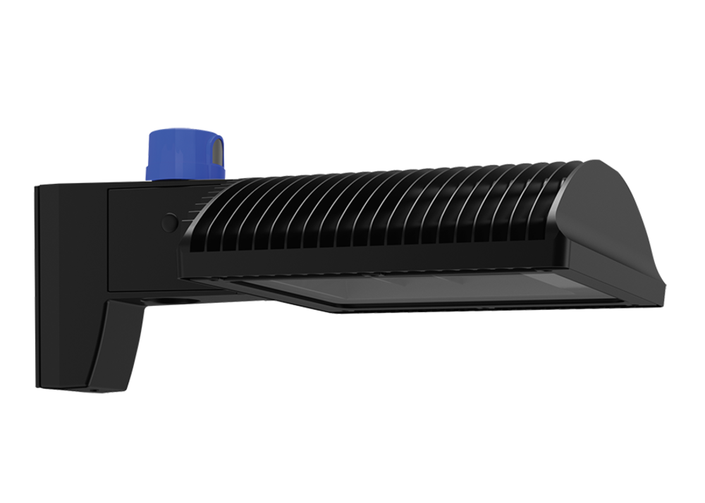 RAB Lighting LFLED5DCA