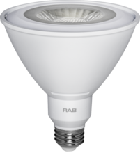 RAB Lighting SHARK2M-25W/D10 - RAB Lighting SHARK2M-25W/D10