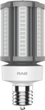 RAB Lighting HID-36-EX39-830-BYP-PT - RAB Lighting HID-36-EX39-830-BYP-PT