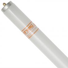 Shat-R-Shield 41010S - ShatRShield 41010S