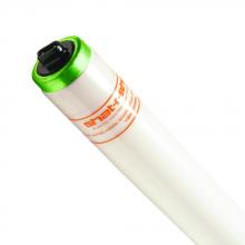 Shat-R-Shield 57019 - ShatRShield 57019