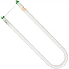 Shat-R-Shield 78537 - ShatRShield 78537