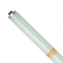 Shat-R-Shield 40262S - ShatRShield 40262S