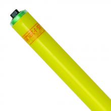 Shat-R-Shield 84569 - ShatRShield 84569