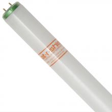 Shat-R-Shield 28030 - ShatRShield 28030