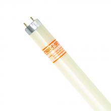 Shat-R-Shield 45539W - ShatRShield 45539W