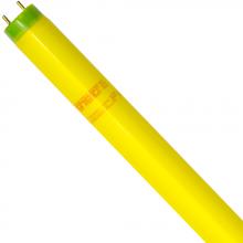 Shat-R-Shield 45489 - ShatRShield 45489