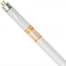 Shat-R-Shield 80546S - ShatRShield 80546S