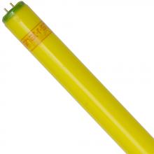 Shat-R-Shield 30261 - ShatRShield 30261