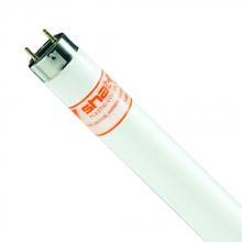 Shat-R-Shield 14012S - ShatRShield 14012S