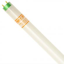 Shat-R-Shield 46538 - ShatRShield 46538