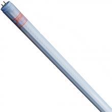 Shat-R-Shield 06600F - ShatRShield 06600F