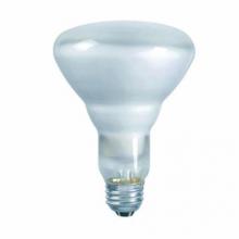 Shat-R-Shield 01222 - ShatRShield 01222