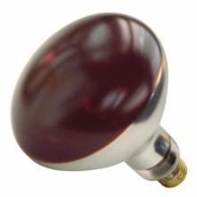 Shat-R-Shield 01699W - ShatRShield 01699W