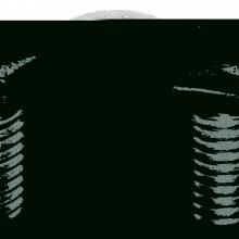 Thomas & Betts ZE1423/8X1EG-10 - Thomas  Betts ZE14238X1EG10