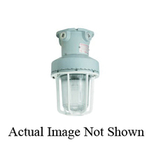 Emerson Electric NEPTGF - Emerson Electric NEPTGF